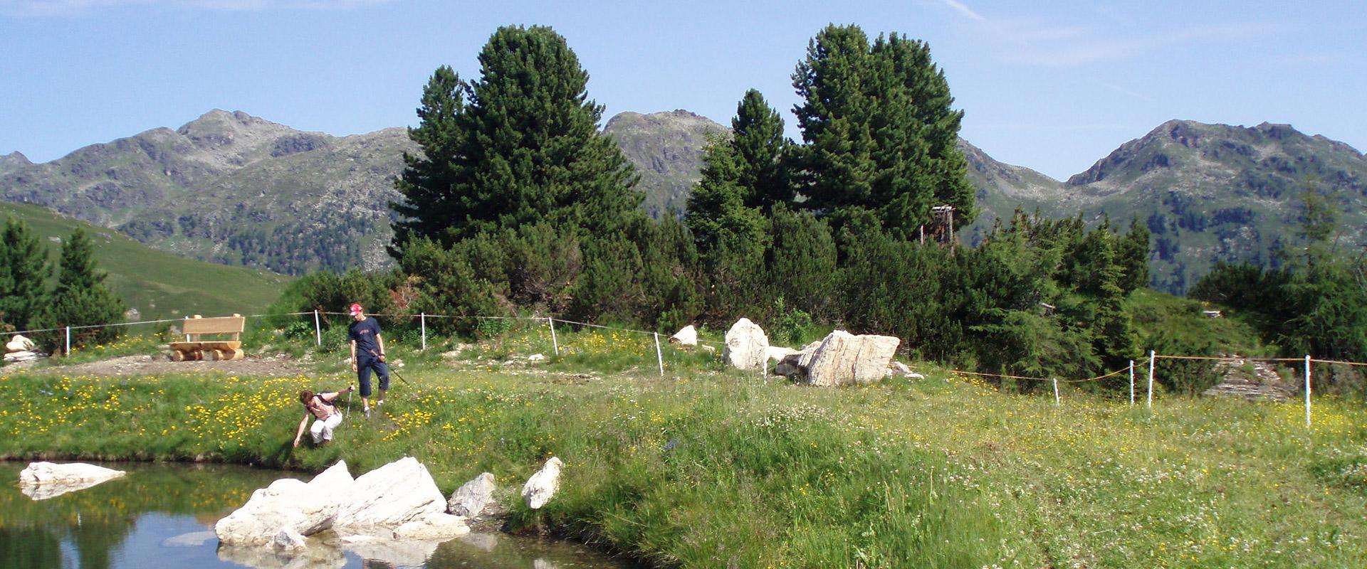Wandern im Sommer im Zillertal